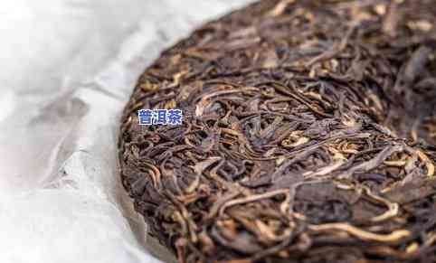 正宗云南普洱茶：颜色、种类与优劣解析