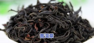 野生普洱茶：品种、特征与图片全解析