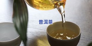 老曼峨普洱茶口感特点及功效：7266价格解析