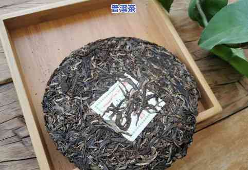 冰岛普洱茶属于什么级别的茶？