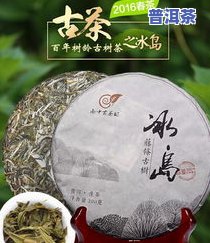 冰岛普洱茶是哪个等级的-冰岛普洱茶是哪个等级的茶