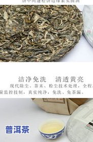 冰岛普洱茶是哪个等级的-冰岛普洱茶是哪个等级的茶