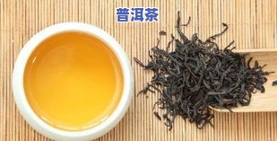 黄芪能和普洱茶一起泡吗？探讨其功效与作用