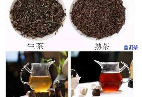 大量饮普洱茶对身体有何影响？探究男女差异