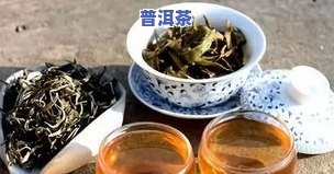 普洱茶饼价格查询：东方、云南七子饼茶价格全览