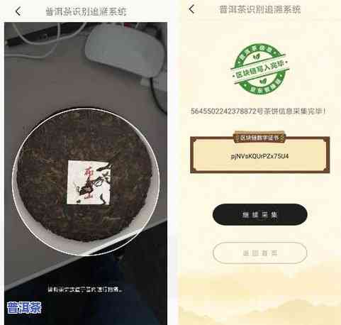 首届云南普洱茶博会纪念茶价格：云南省官方发布的纪念茶售价一览