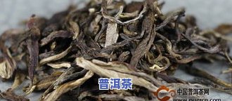 善待普洱茶-善品普洱茶