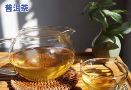 善待普洱茶-善品普洱茶