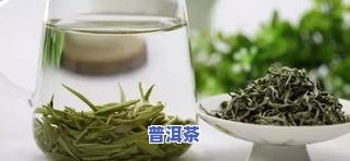 茶叶一般在几月份采收、成熟和饮用？栽种时间又是何时呢？