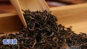 湖北普洱茶种类大全图解-湖北普洱茶种类大全图解视频