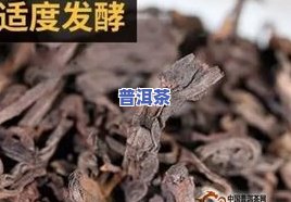 普洱茶猪圈发酵：黄建璋视频与案例分析