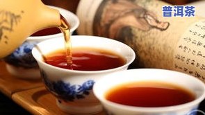 宝典普洱茶-普洱茶典汇