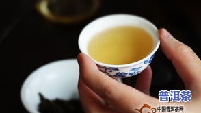 柒柒普洱茶直播-柒柒茶铺