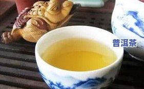 有机普洱茶是怎么样的-有机普洱茶是怎么样的茶