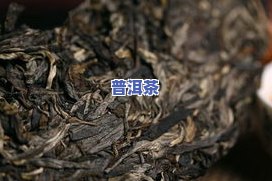 昆明普洱茶基地有哪些-昆明普洱茶基地有哪些的