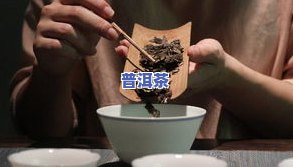 茶道仕普洱茶：如何冲泡好喝？官网教你方法