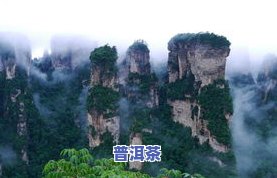 2021天门山普洱茶-2021天门山普洱茶价格