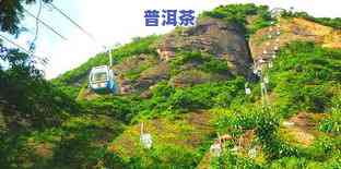 2021天门山普洱茶-2021天门山普洱茶价格