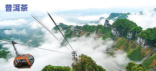 2021天门山普洱茶-2021天门山普洱茶价格