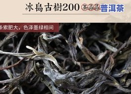 冰岛古树普洱生茶价格全揭秘：多少钱一斤、价格表、图片一览