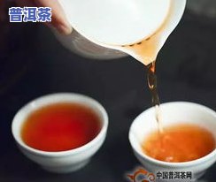 普洱茶化验-普洱茶检测