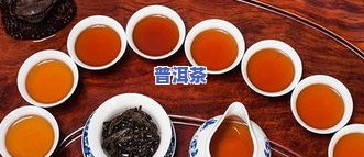 普洱茶不宜人群：了解哪些人不适合饮用普洱茶及其禁忌