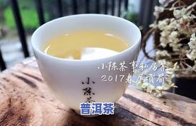 普洱、铁观音、白茶哪个好喝？一文告诉你