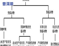 茶叶存放多久会变质？影响因素及保存期限解析