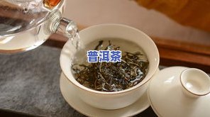 普洱茶冷饮做法大全：冷泡、热泡技巧与视频教程