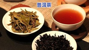 普洱茶的十大功效：从健康到美容，详解其作用及正确冲泡方法