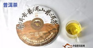 西安普洱茶协会：身份、背景全揭秘