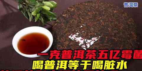 普洱茶发霉后还能喝吗？有害吗？原因是什么？