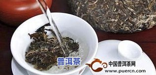 普洱茶泡多少泡更佳？掌握正确方法让你品尝到最纯正的味道！