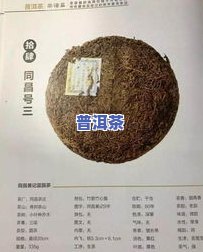 普洱茶店取名大全：四个字、寓意深刻、最新推荐与大