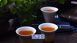 普洱茶为何有结晶味？解析其味道特点与区别