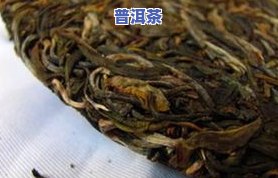 普洱茶独株：含义、特点与功效