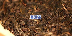 独酌普洱茶-独爱普洱