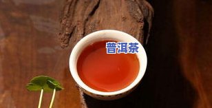 喝熟普洱茶饿得快？起因解析！