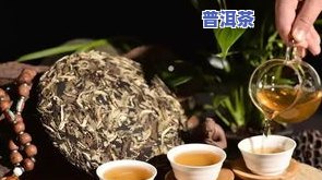 普洱茶为何喝着无味？探究其原因