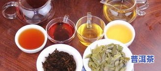 勐海金针普洱茶-勐海金针熟茶价格