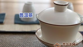 普洱茶直拍-直播普洱茶