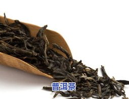 普洱茶直拍-直播普洱茶