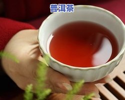 平和普洱茶-平河普洱茶