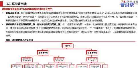 速溶普洱茶发展现状深度解析：市场趋势与前景展望