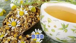 浙江舟山产什么茶？了解当地名优茶叶品种与更佳购买建议！