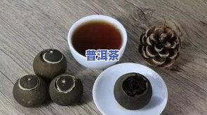 茶室用什么普洱茶更好呢视频，揭秘茶室必备！普洱茶选择指南