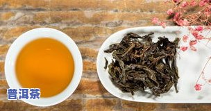 普洱茶里的金花：有还是能喝？解析与图片