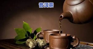 普洱茶牛人-普洱茶十大茶人