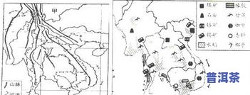 普洱茶分别分布在哪些茶区？详解其区域划分及名称