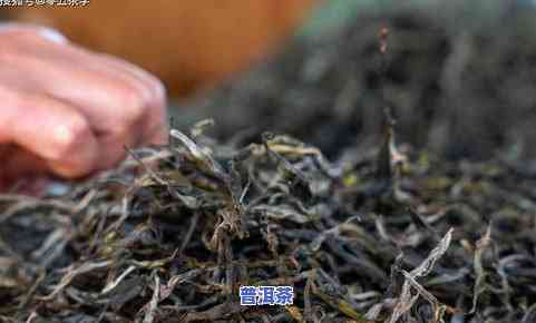 天允普洱茶：2008生茶400克与2001年古树熟茶口感对比，你更喜欢哪一款？